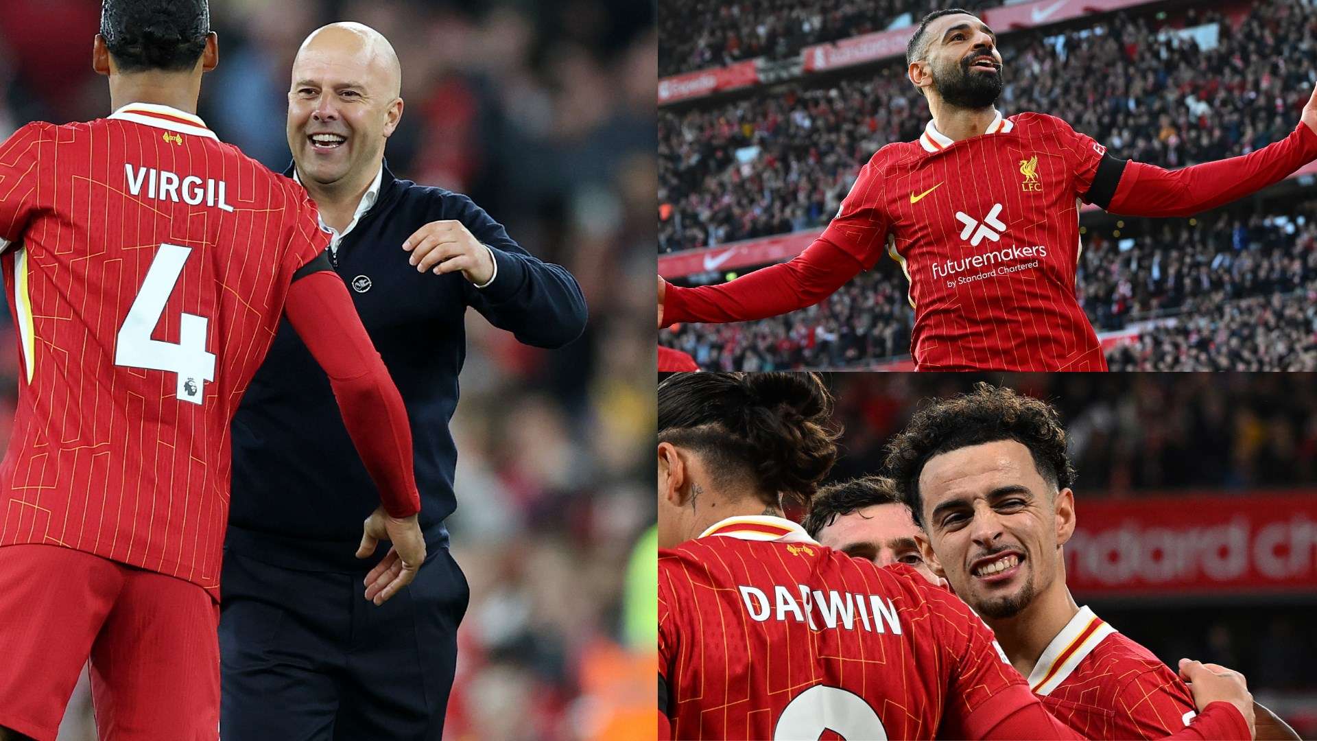 杨依旧展现 杨依旧展现