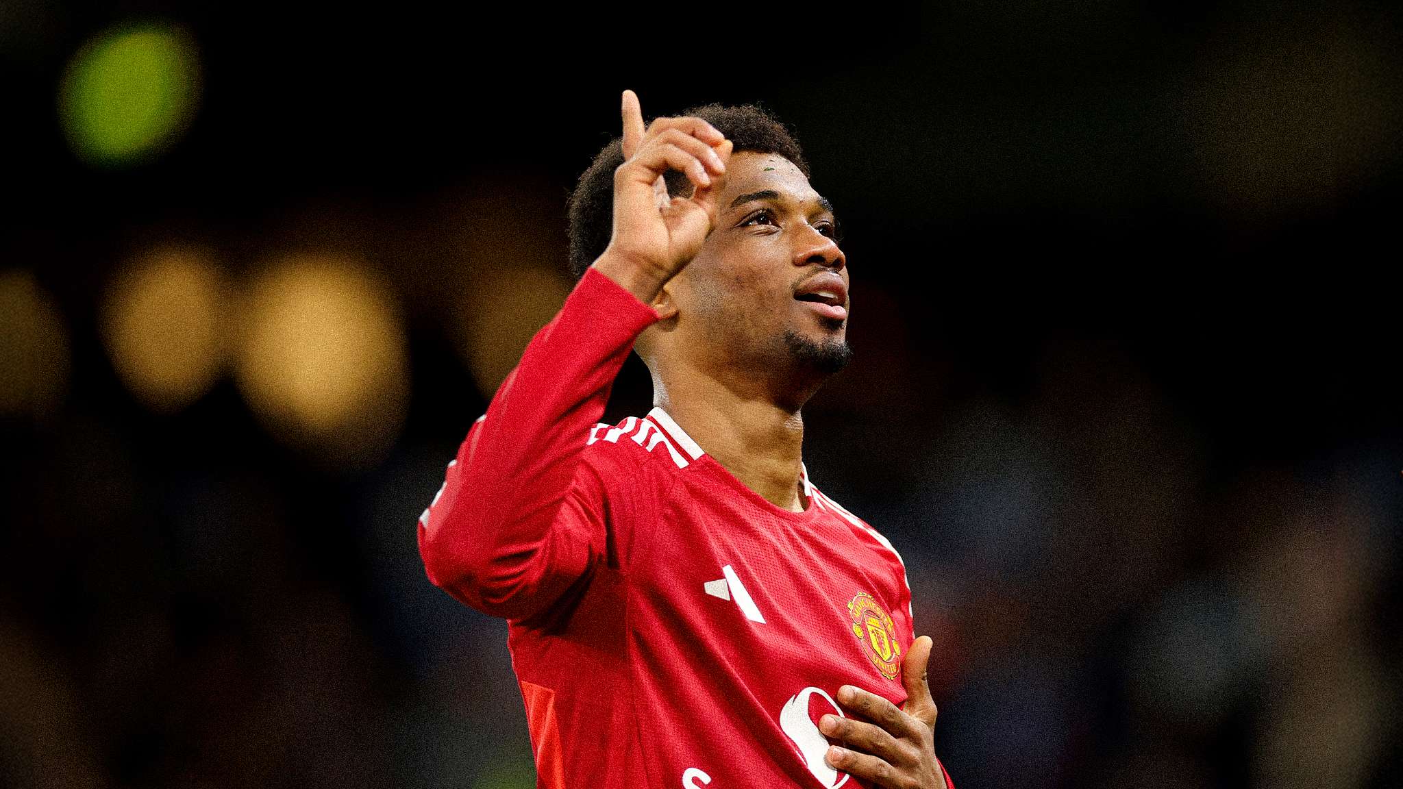 但其顽强的 但其顽强的