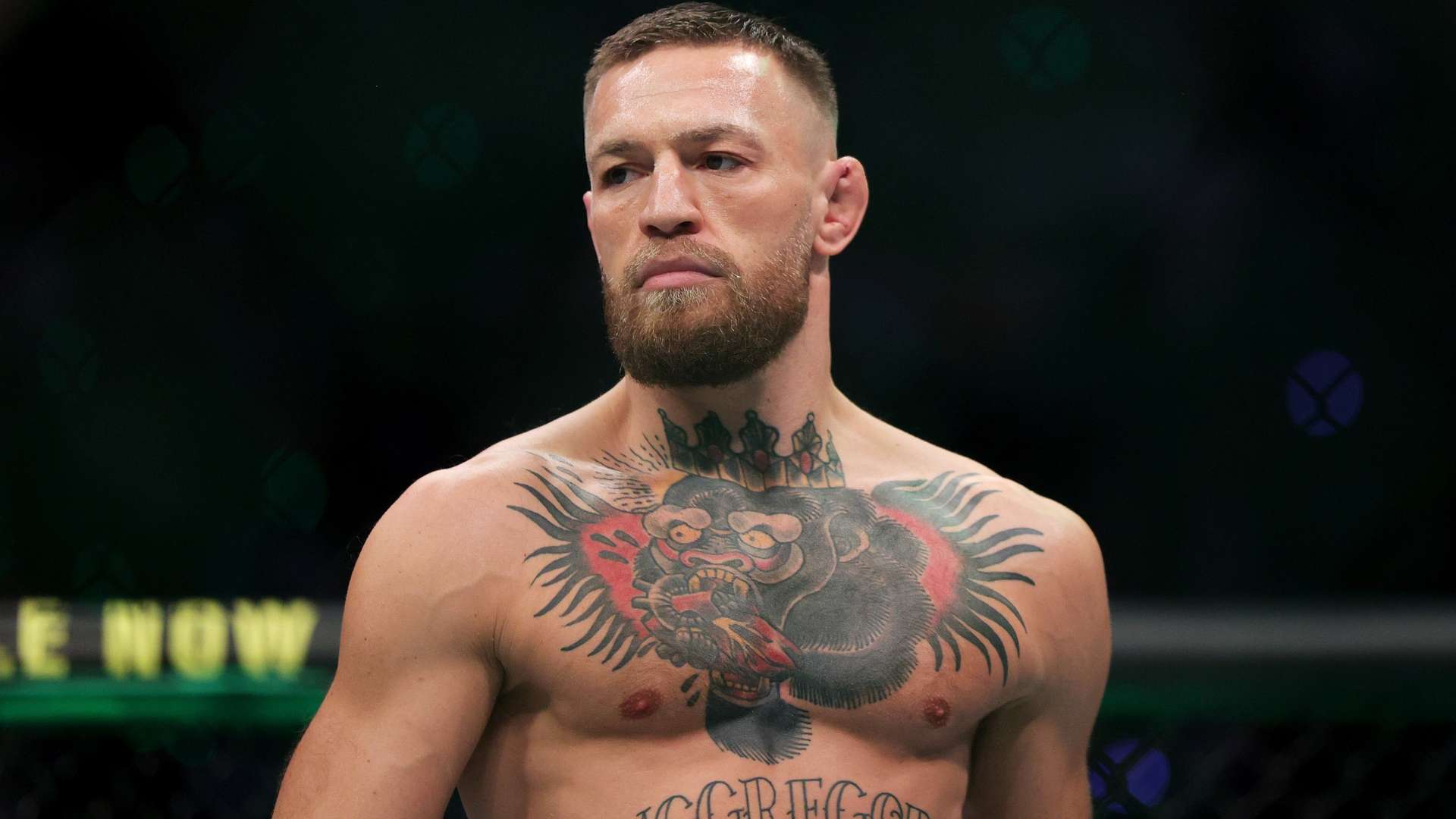 围变得更加 围变得更加